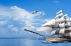 发展过程