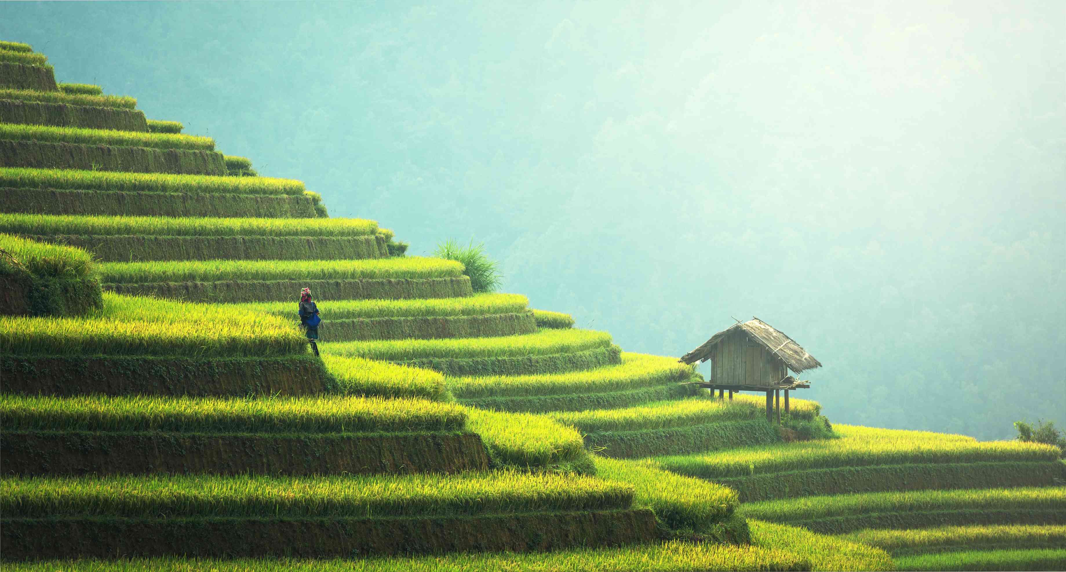 东升国际(中国区) - 官方网站